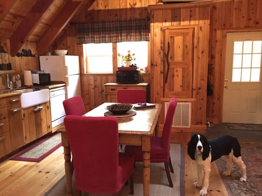 Lake Tahoe Pet Friendly Vacation Rental